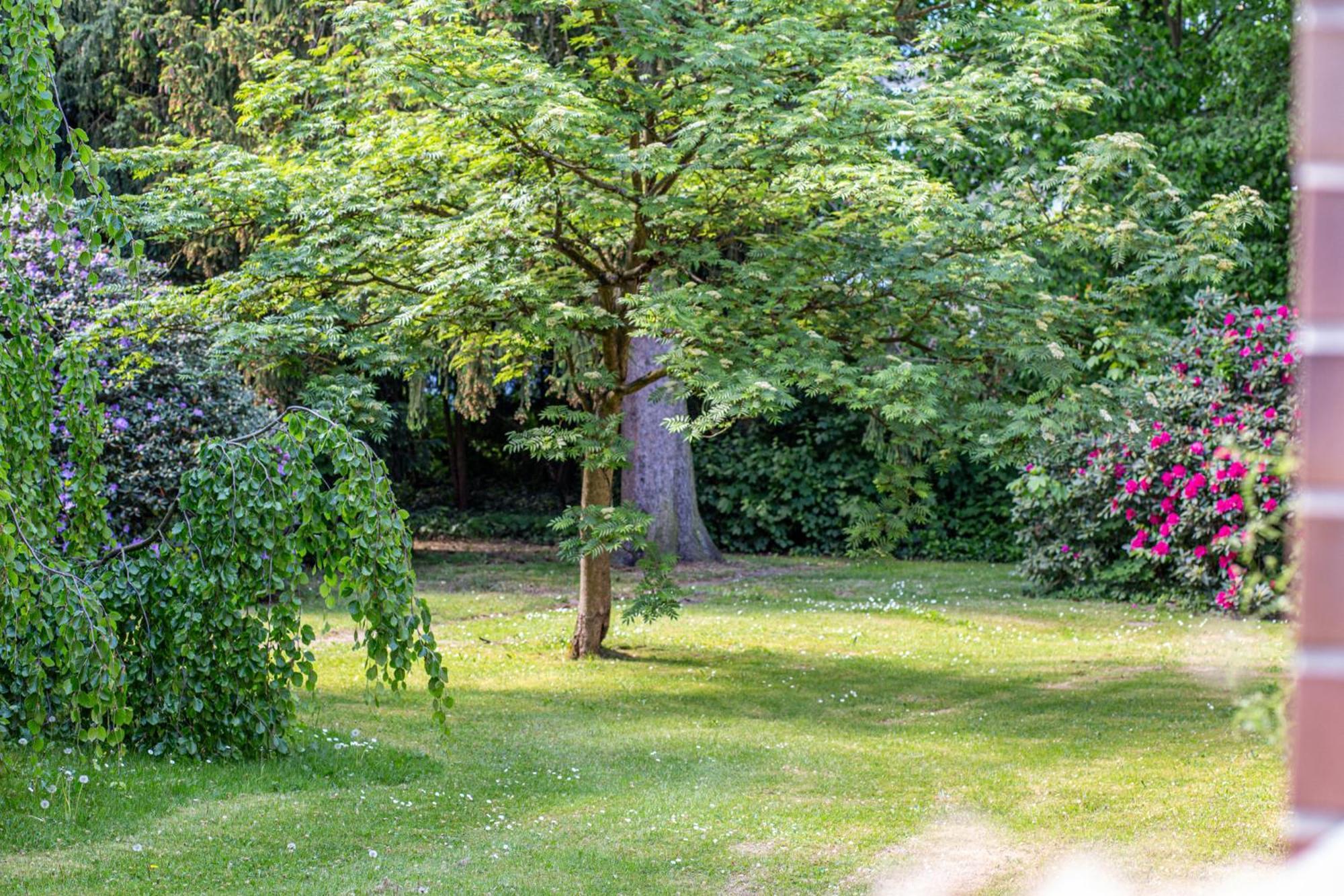 Have-A-Nice-Stay - Nahe Bahnhof Ahrensburg - 20 Minuten Nach Hamburg - Trotzdem Ruhig Gelegen - 6 Minuten Zu Fuss Ins Zentrum Ahrensburg - Modern Eingerichtet Exteriör bild